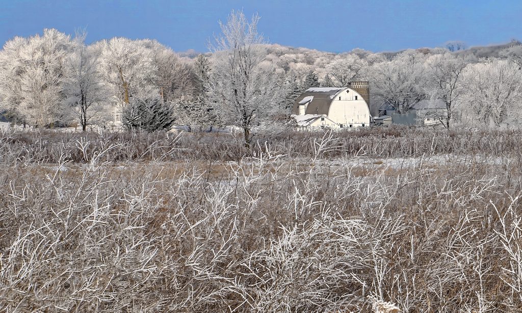 A barn in among trees and brown grass with a light dusting of snow/frost